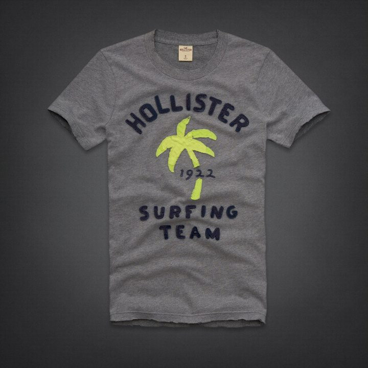 Tee shirt Hollister Gris Homme